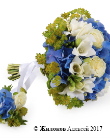 ����� ������� ������