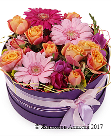 ����� ��������� ����� � ������� �������