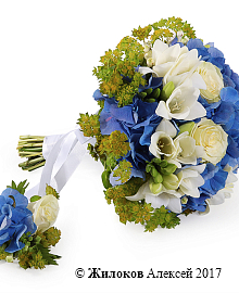 ����� ������� ������