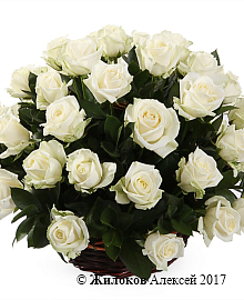 ����� 51 ���� ������� � �������