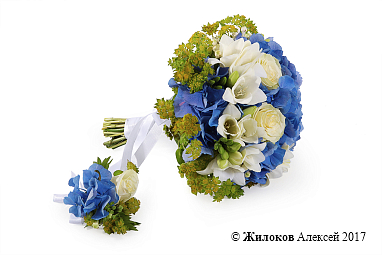 ����� ������� ������