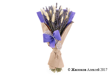 ����� � �������� ��������� ��������