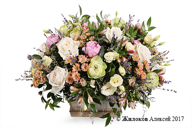 ���������� ��� ������ ���� � �����