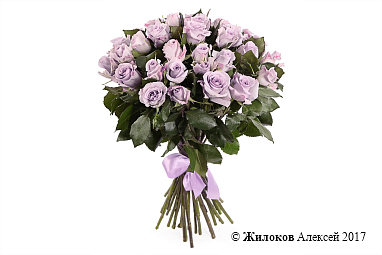 ����� ����� ������ (35 ���)