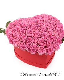 ����� ������ ����� � ������� ������� ������