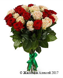 ����� 25 ��� ����