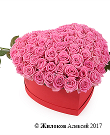 ����� ������ ����� � ������� ������� ������