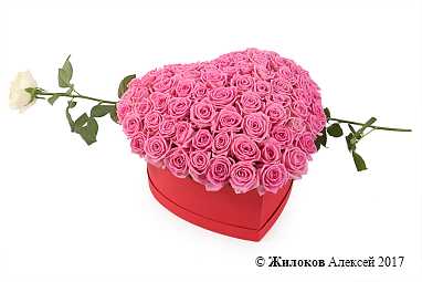 ����� ������ ����� � ������� ������� ������