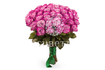 ����� 51 ���� ��� �����