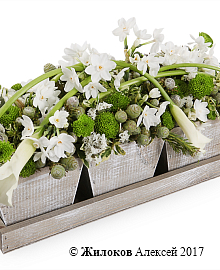 ���������� ������ �������� � �����