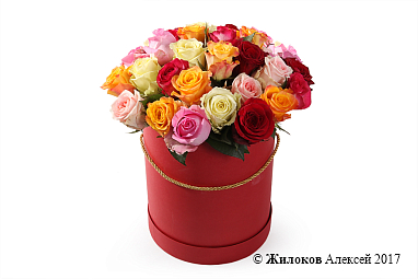 ����� ����������� ������� (35 ���) � ������� ������� �������