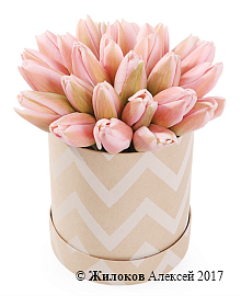 ����� 25 ����������� ������� � ������� �������, ���������