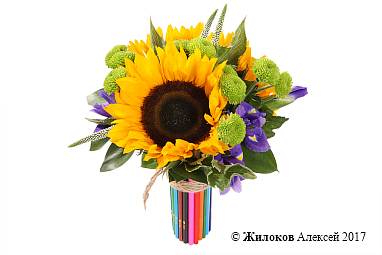 ����� � ������������ ������������ �������