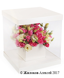 ���������� ������ � ������ �����