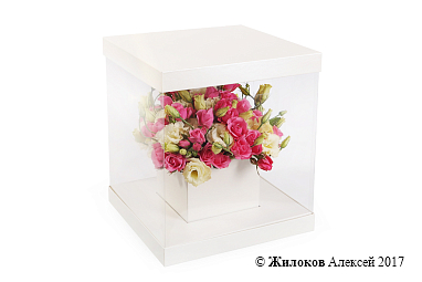 ���������� ������ � ������ �����