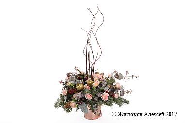 ����� ������� ��������