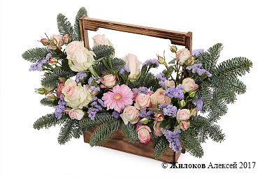 ���������� � �������� ���� � �����