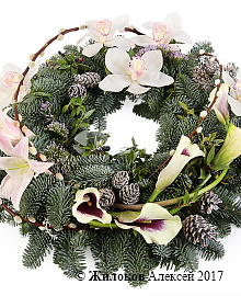 ����� ������������ ����