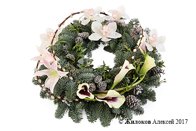 ����� ������������ ����