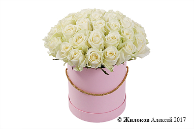 ����� 35 ��� ������� � ������� �������