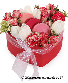 ����� ����� � ����� � ������� ������� ������