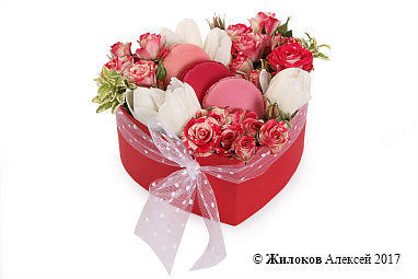 ����� ����� � ����� � ������� ������� ������