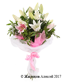 ����� � ������� ��������� �������