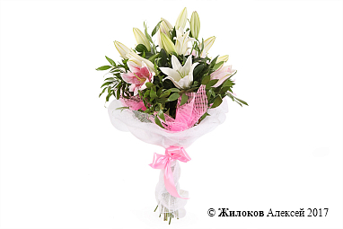 ����� � ������� ��������� �������