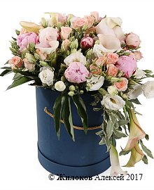 ����� ������������ ���������� � ������� �������