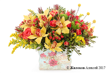 ���������� � ��������� ������ �������� � �����