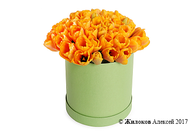 ����� 51 ����������� ������� � ������� �������, �����