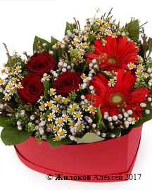 ����� �������� ���������� � ������� ������� ������