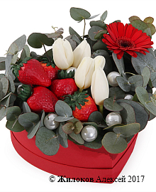 ����� ���������� ���� � ������� ������� ������