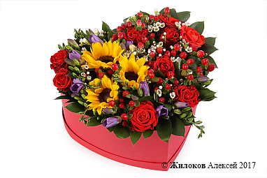 ����� ������ � ���� � ������� ������� ������