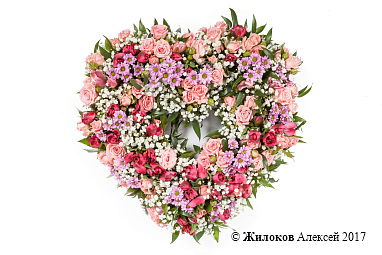 ����� �������� ������