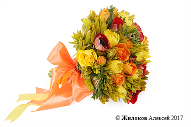 ����� ������� � ���������� ������