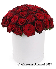 ����� 51 ���� ��� ����� � ������� �������