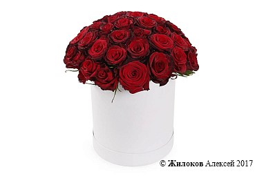 ����� 51 ���� ��� ����� � ������� �������