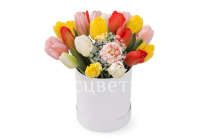 ����� 25 ����������� ��������� � ������� �������, ����