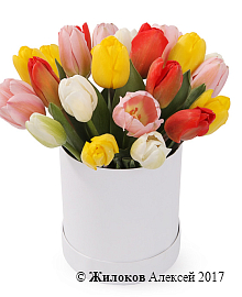 ����� 25 ����������� ��������� � ������� �������, ����