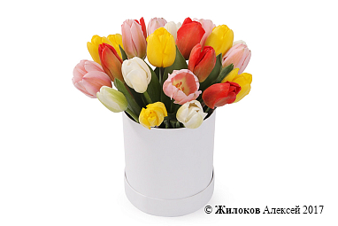 ����� 25 ����������� ��������� � ������� �������, ����