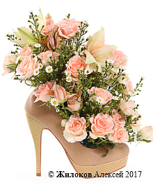 ���������� ���� �����