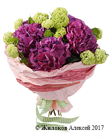 ����� � ����������� ��������� �������