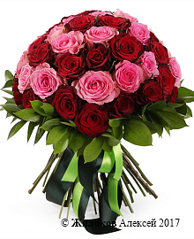 ����� ��������� ��������