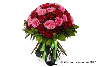 ����� ��������� ��������