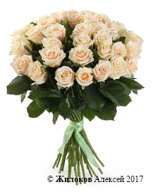 ����� 35 ��� �����