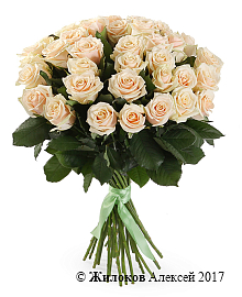 ����� 35 ��� �����