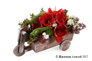 ���������� � �������������� ������ ���� � �����