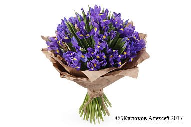 ����� �� ������ ������ (�����)