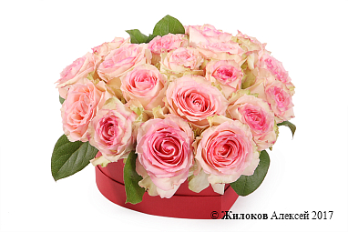 ���������� ���� ������ � ������� ������� ������ (����)